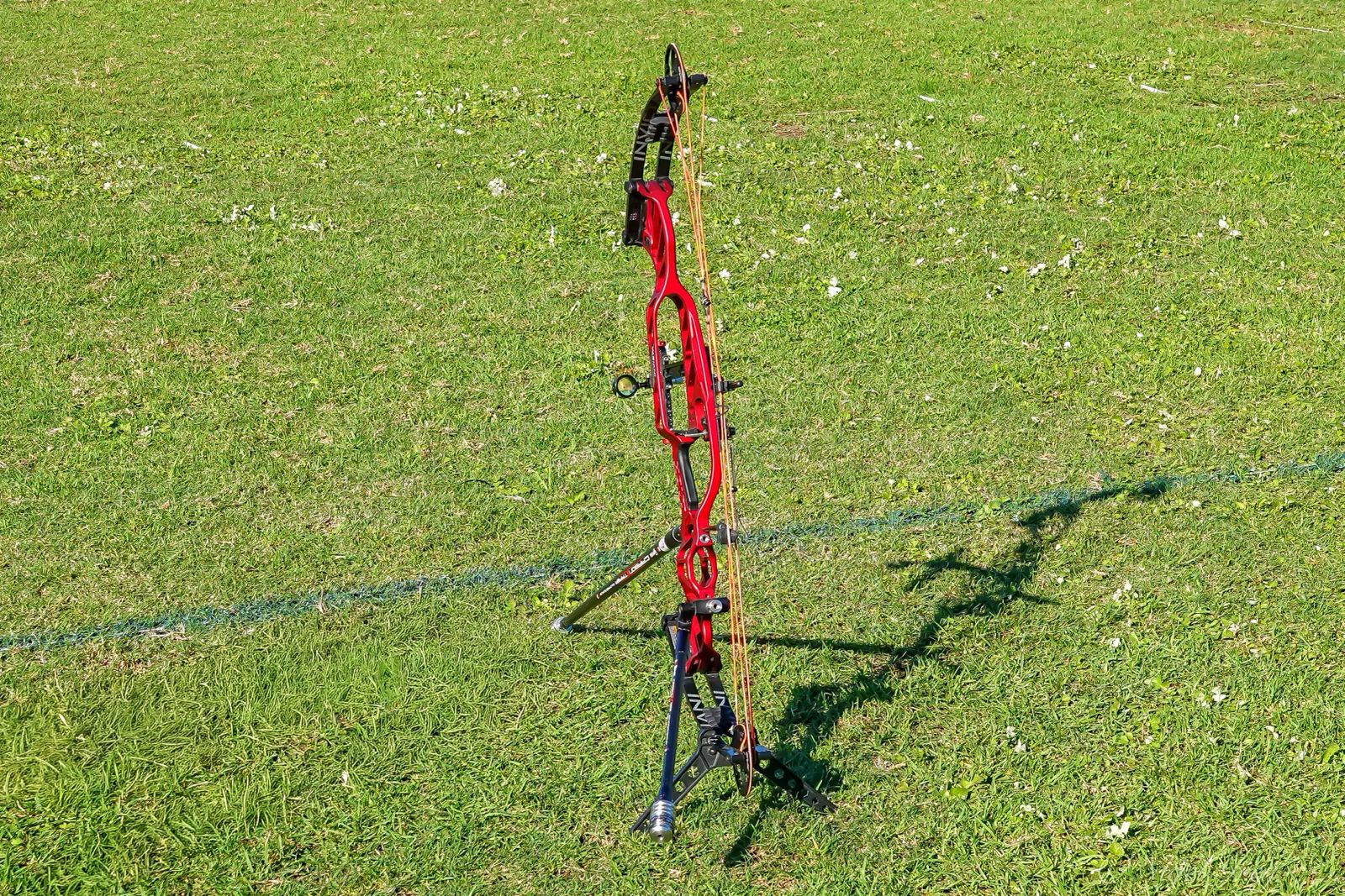 Londt Park archery image